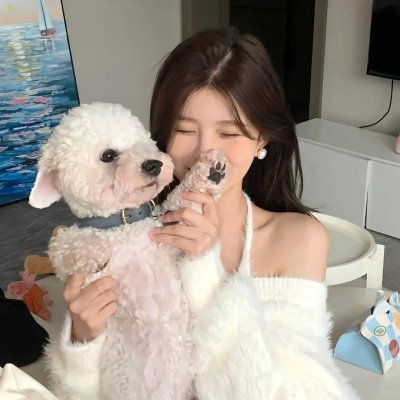 副总统第三季